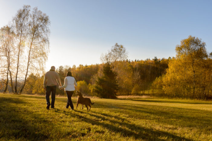 Countryside Walks